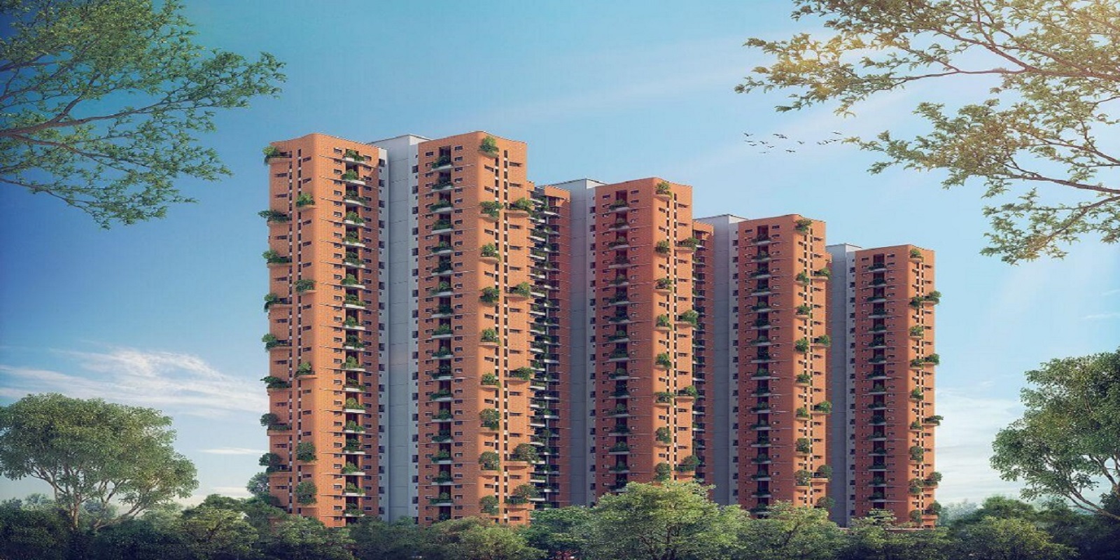 img-property