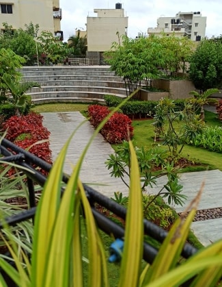 img-property