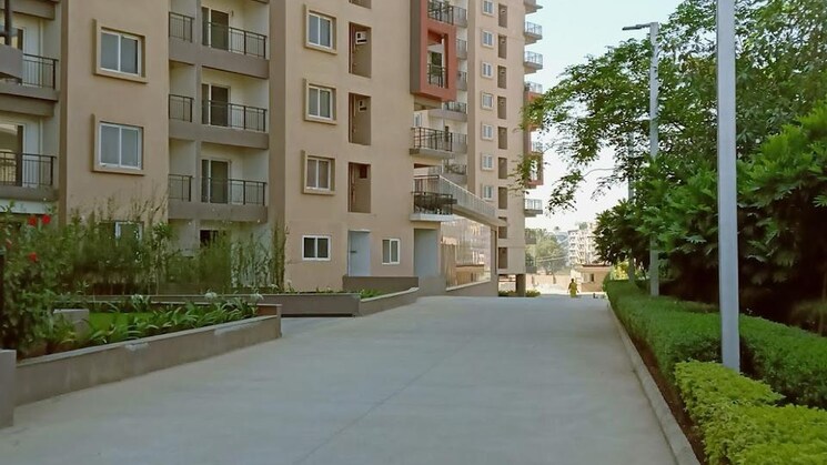 img-property