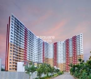 img-property