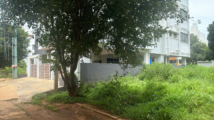 img-property