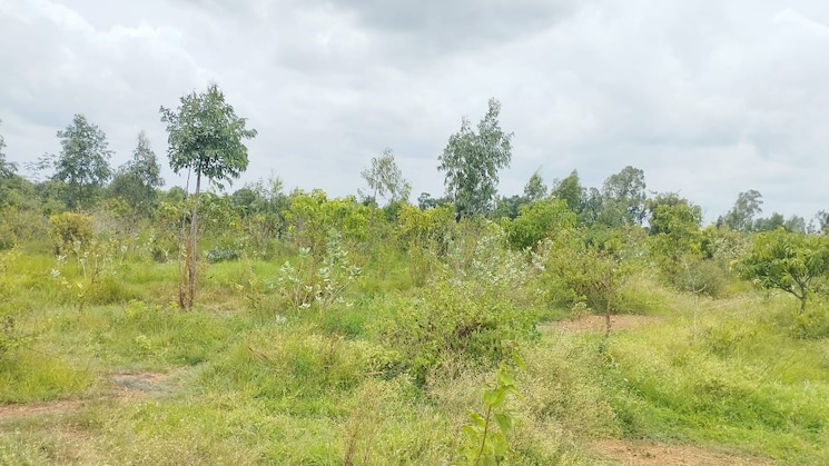 img-property