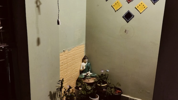 img-property