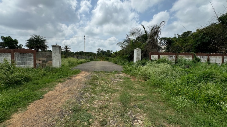 img-property