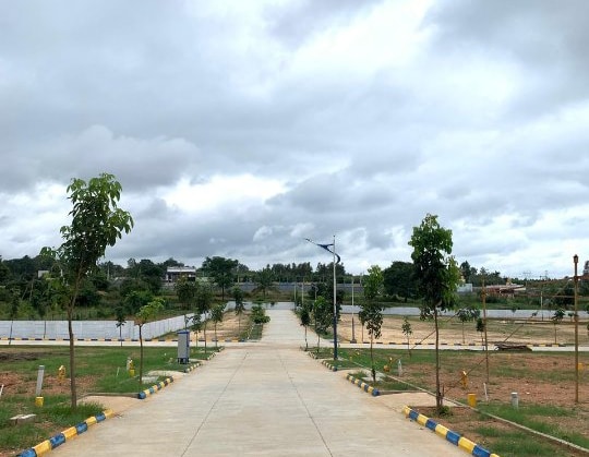 img-property