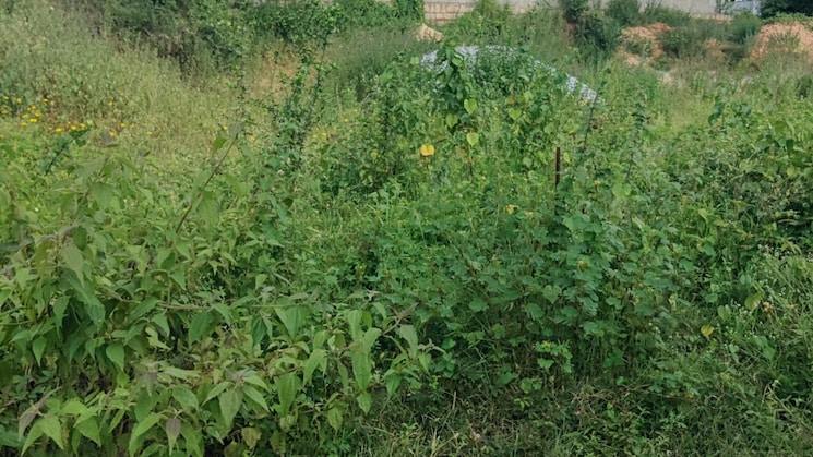 img-property