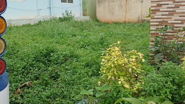 img-property