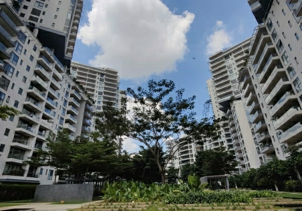 img-property