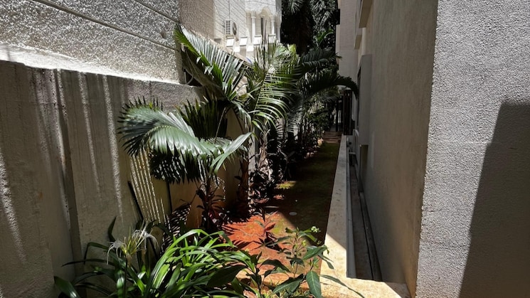 img-property