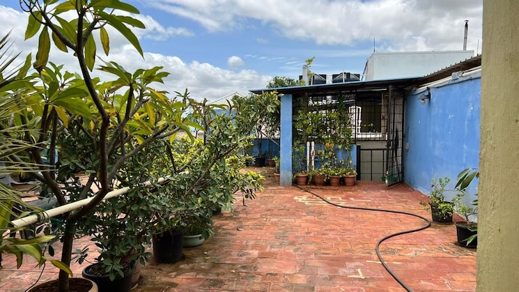 img-property