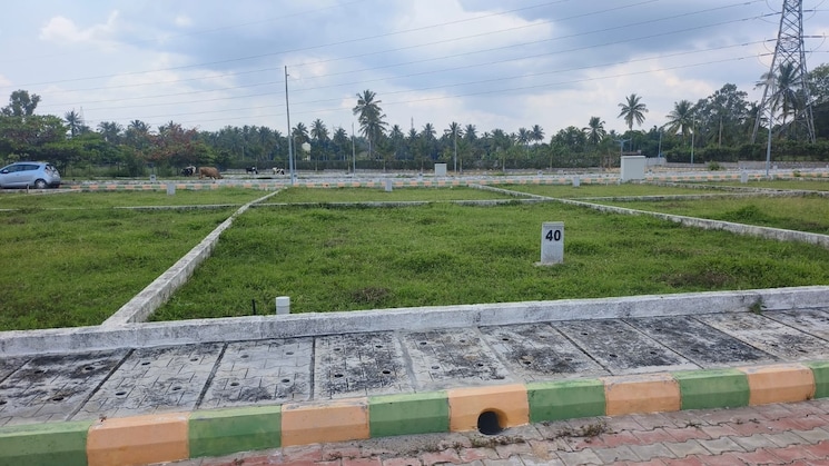 img-property