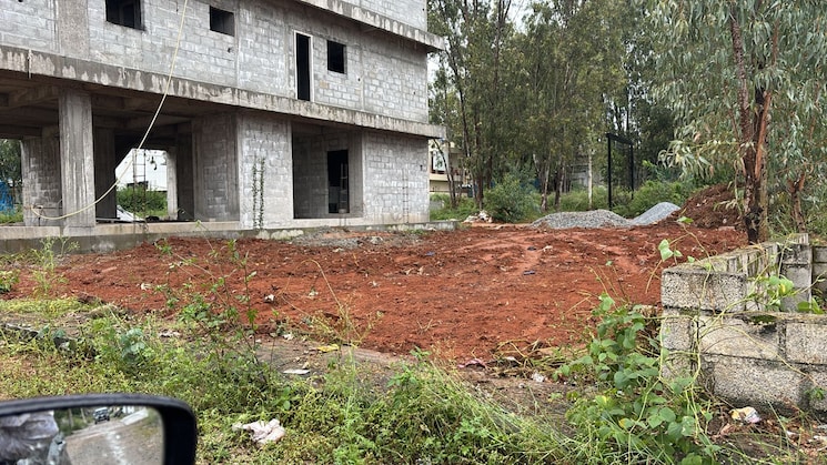 img-property
