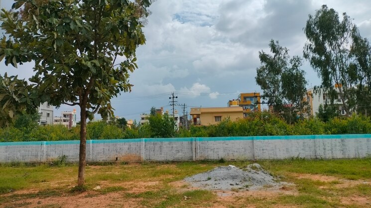 img-property