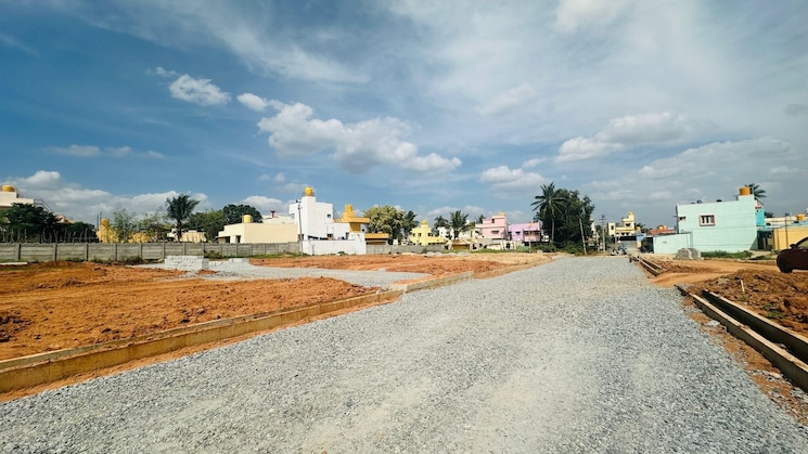 img-property