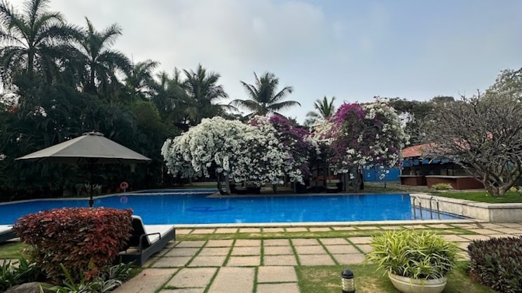 img-property