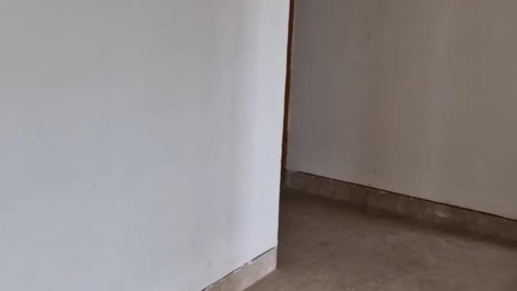 img-property