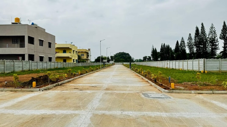 img-property