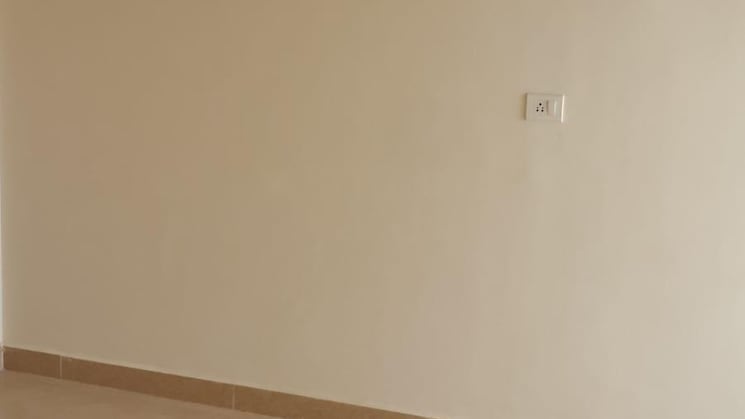 img-property