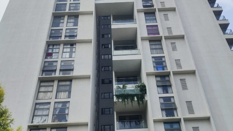 img-property