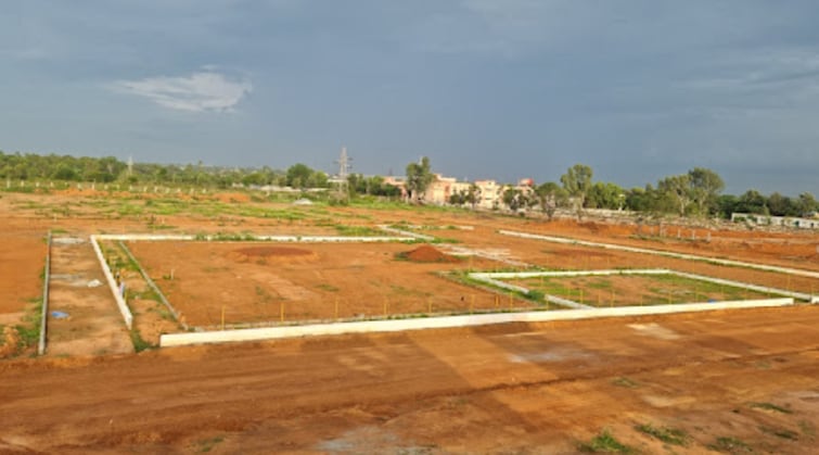 img-property