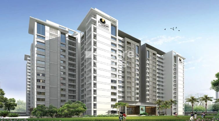 img-property