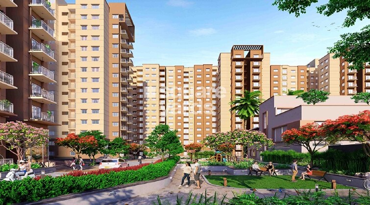 img-property