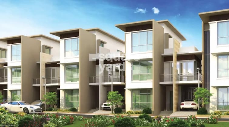 img-property