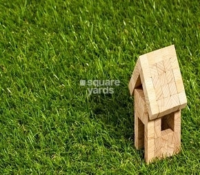 img-property