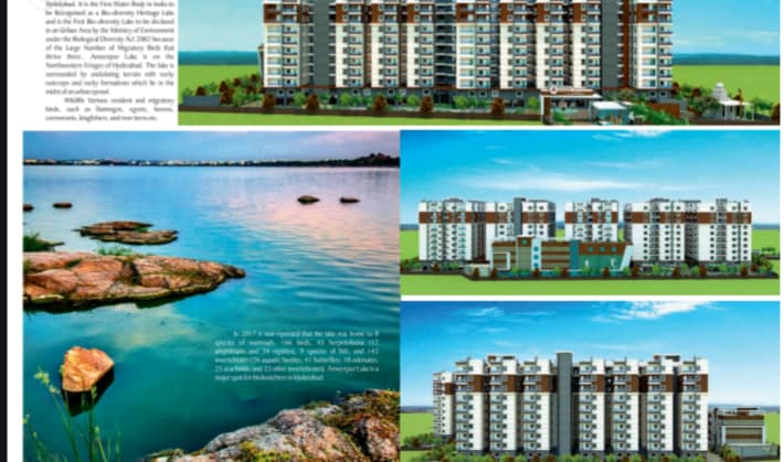 img-property