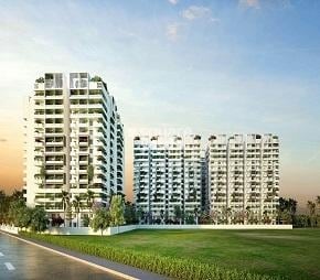 img-property