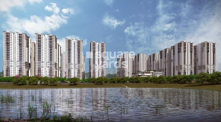 img-property