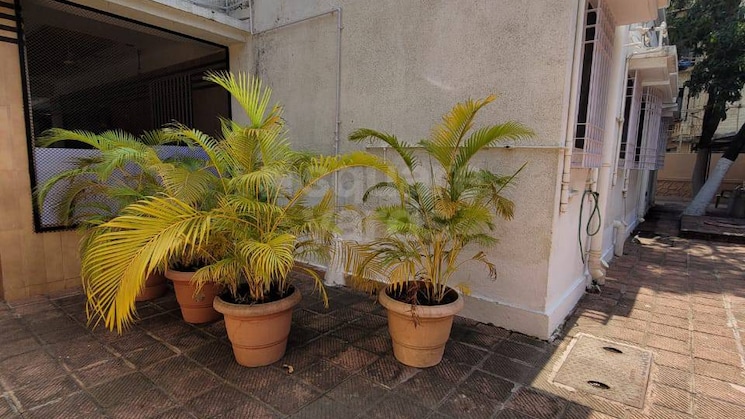 img-property