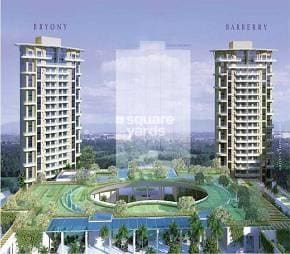 img-property
