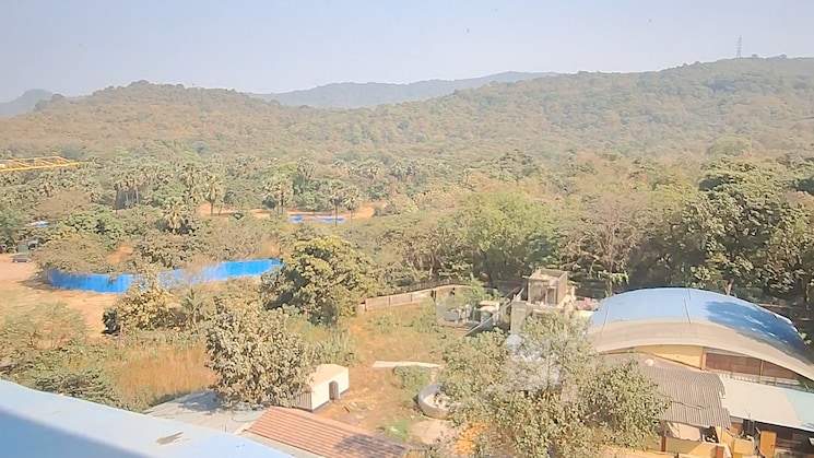 img-property