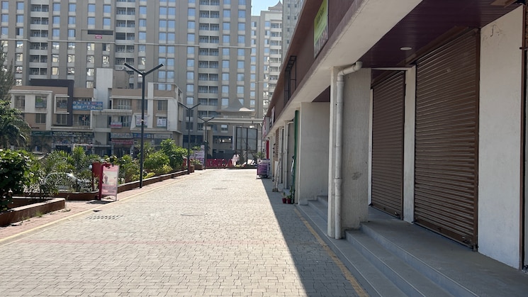 img-property