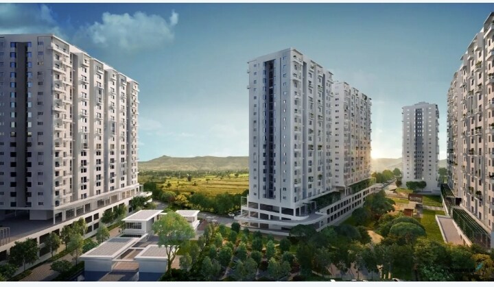 img-property