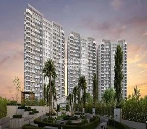 img-property