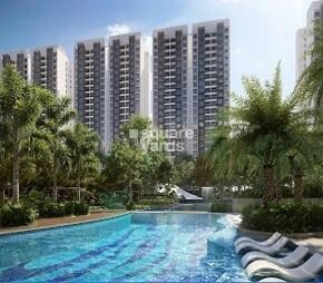 img-property