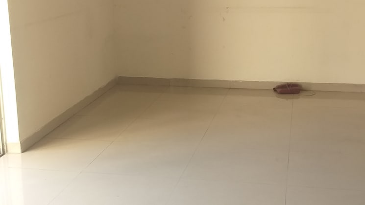 img-property