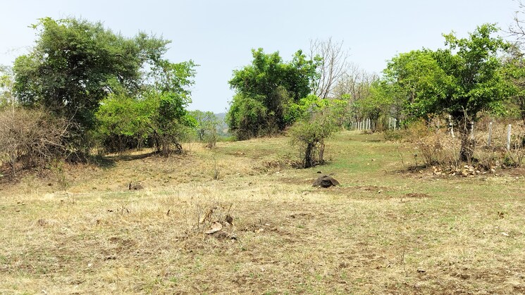 img-property