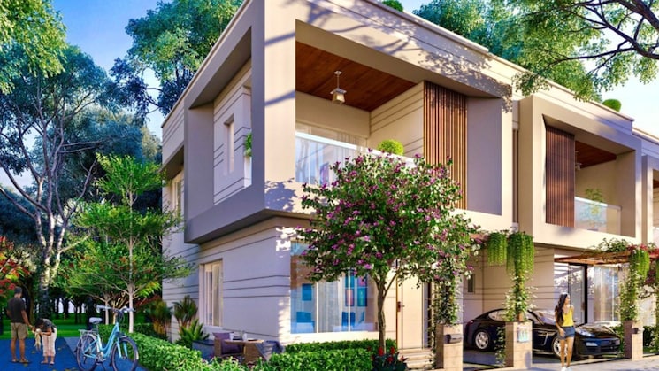 img-property