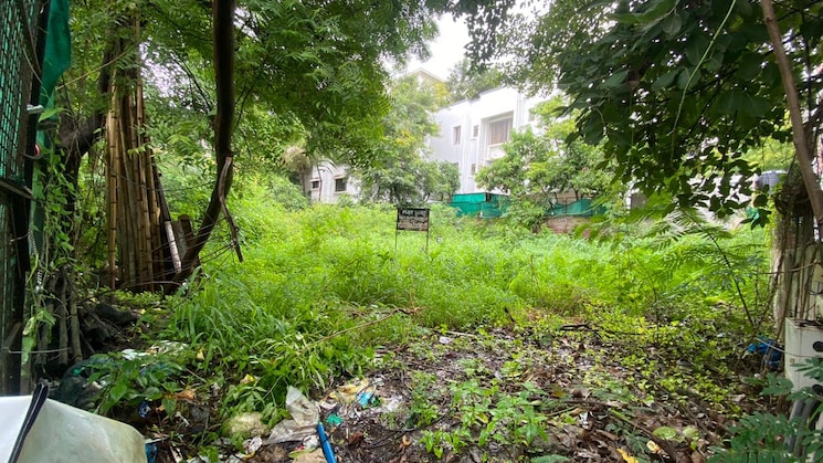 img-property