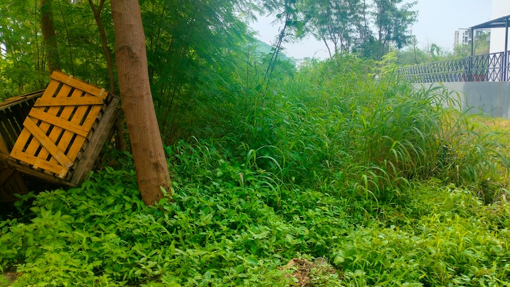 img-property