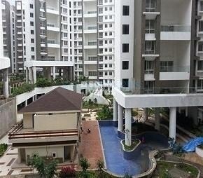 img-property