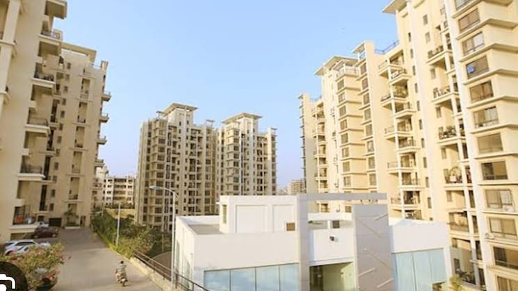 img-property