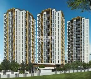 img-property