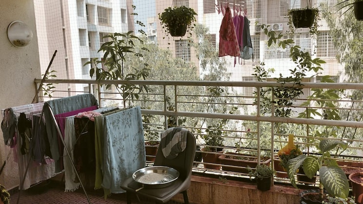 img-property