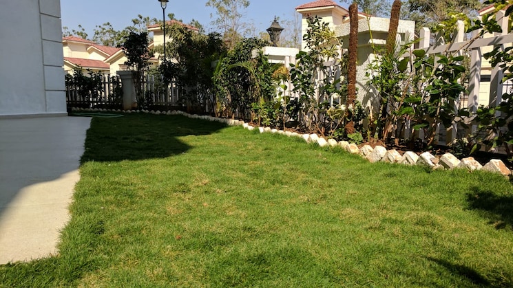 img-property