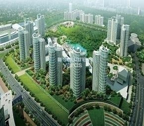 img-property
