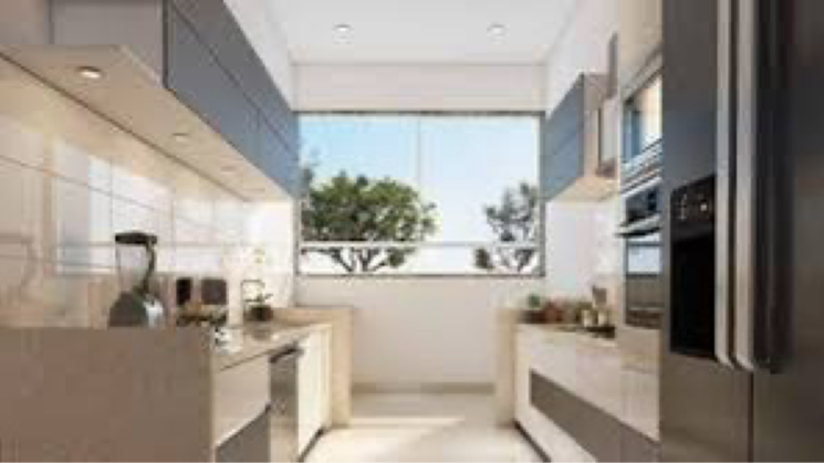 img-property